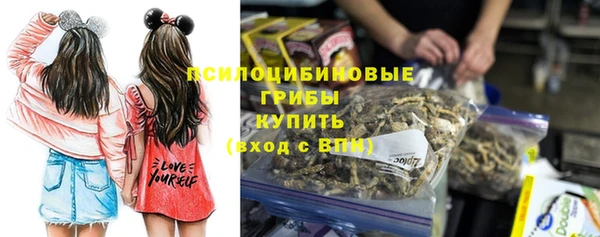 PSILOCYBIN Алексеевка