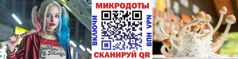 Псилоцибиновые грибы Cubensis  Рославль 