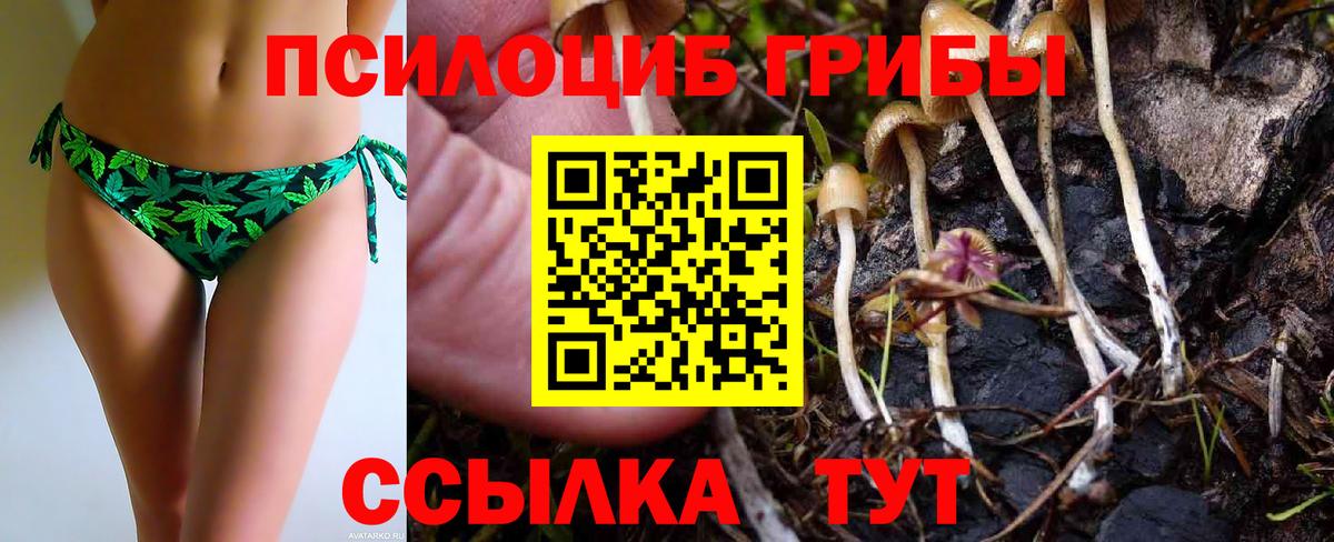 Галлюциногенные грибы Magic Shrooms  где можно купить   Рославль  Вход с VPN 
